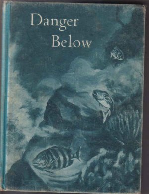 Danger Below