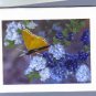 Handpainted Yellow Butterfly and Blue Flowers Greeting Cards