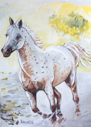 Speckled Horse Running Blank Greeting Card