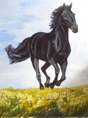 Black Stallion's Morning Run