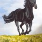 Black Stallion's Morning Run