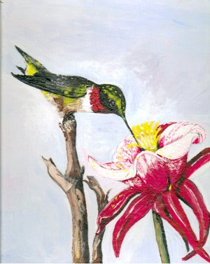 Hummingbird and Trumpet Flower