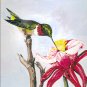 Hummingbird and Trumpet Flower