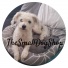 thesmalldogshop