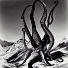 Beached Kraken