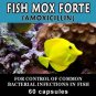 fish mox Aquarium Treatment Fish Mox Forte 250mg/500mg Capsules 60(amoxi)