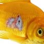 Fish Anti-biotics Fish Mycin 250mg / 5oomg Tablets 60