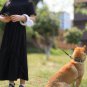 LED Lighting insert waste bag Dog Leash Dog Lead Extending Puppy Walking Running Dog Leash