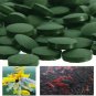 200pcs Spirulina Tablets Enrichment Favorite Pet Food Fish Crystal Red Shrimp Fish Food Aquarium