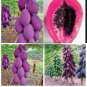 New Fresh Purple Papaya Fruit Seeds 50 pcs