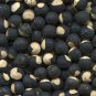 Balloon Vine Seeds Cardiospermum Halicacabum Home And Garden