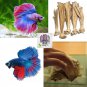 Dried Banana Leaves, Pet Supplies Aquarium,Natural water cleaner | Ceylon Organic