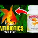 Fishbiotic Mox Aquarium Treatment Fish Mox Forte Amoxi 250mg/500