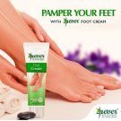 Forever, Skin Naturals Foot Cream Paraben Free 30% Aloe Vera 100g e 3.53 fl OZ