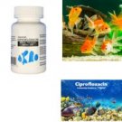 Fish Flox Ciprofloxacin 500mg Antibio Aquarium Treatment 100 Tablets