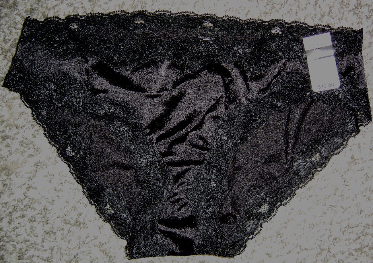 Ambrielle Second Skin Style SILKY SATIN Bikini Panties w/Lace! NWT! Sz 6/M