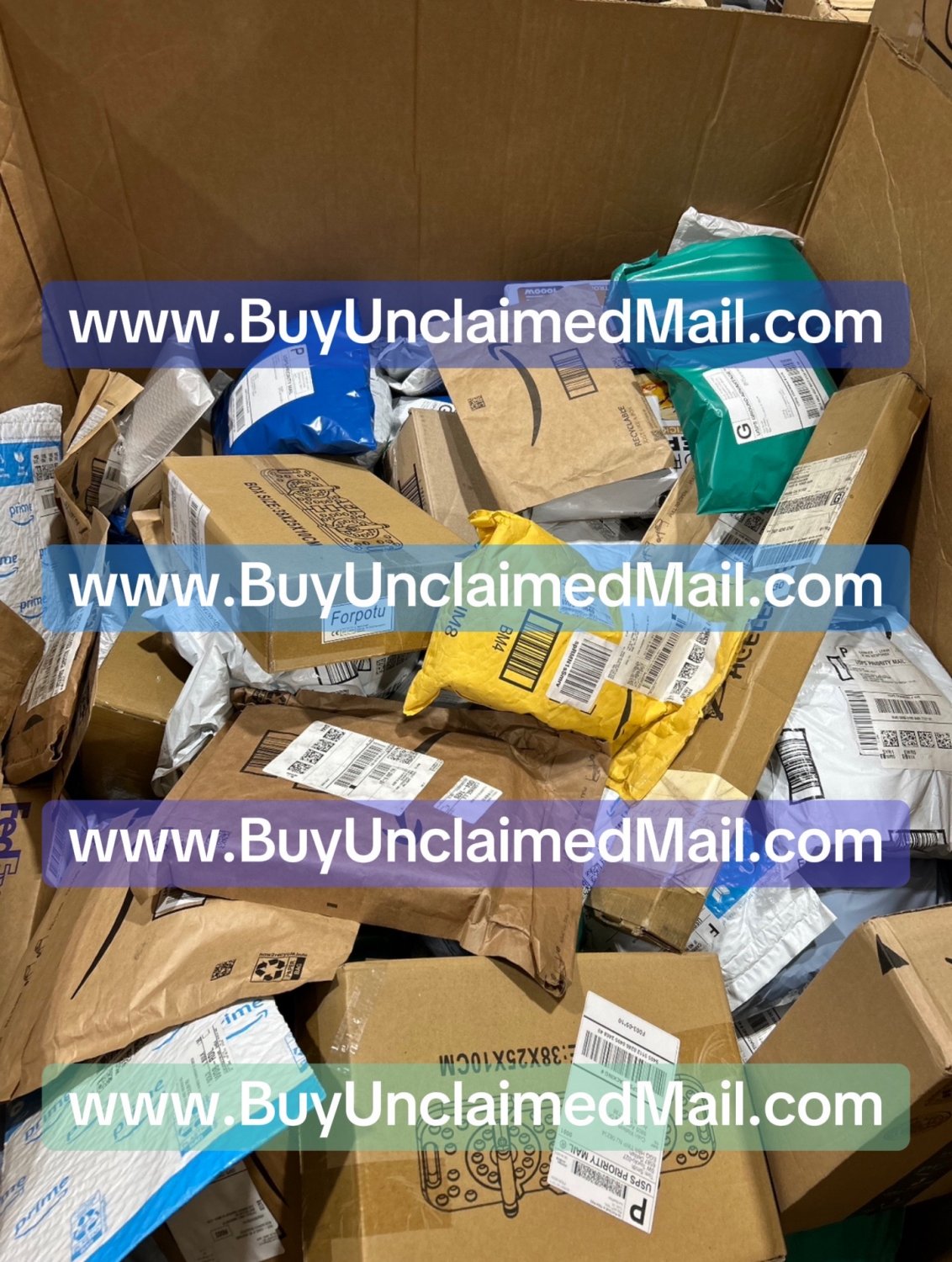 10 Unclaimed Mail Packages (Premium)