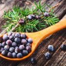 USA SELLER Juniper Berries 1lb