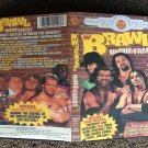 WWF BRAWL IN THE FAMILY