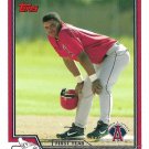 Warner Madrigal 2004 Topps Traded & Rookies #T157 Anaheim Angels Baseball Card