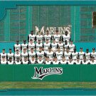 Florida Marlins 2001 Topps #763 Baseball Team Card