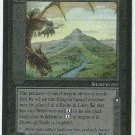Middle Earth Dragon's Desolation Uncommon Game Card