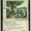 Middle Earth Rhosgobel Wizards Limited Fixed Game Card