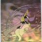 Comic Ball Series 2 Hologram Card Reggie Jackson, Daffy Duck