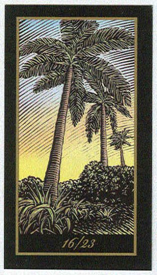 Doral 2006 Card Americas Backyard #16 Royal Palm