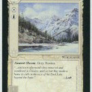 Middle Earth Blue Mountain Dwarf-hold Wizards Limited Game Card