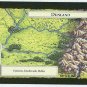 Middle Earth Dunland Wizards Limited BB Game Card