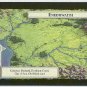 Middle Earth Enedhwaith Wizards Limited Game Card