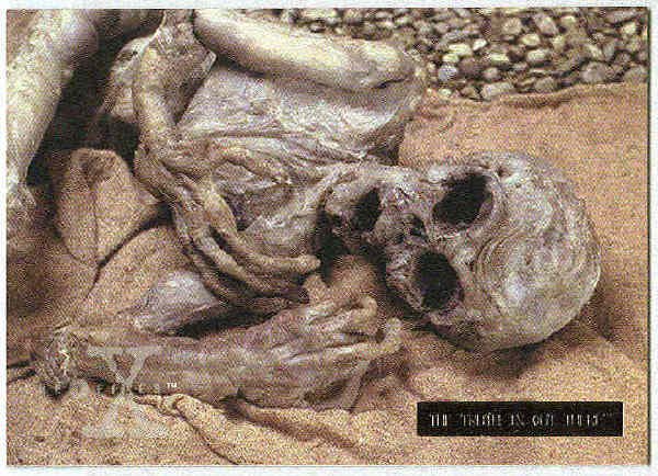 X-Files Season 2 #45 Parallel Card Silver Bar Xfiles