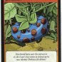 Neopets #187 Chokato Game Card Unplayed