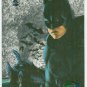 Batman Forever #32 Silver Flasher Parallel Card