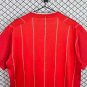 Men Southampton FC Home Retro Classic Jersey 2012-2013 Shirt Soccer Football 12-13