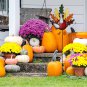 Turkey Garden Stake Fall Decor Rustic Metal Turkey Lawn decoration IndoorOutdoor