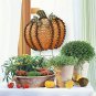 Pumpkin Garden Stake Metal Yard Sign Fall Decor, Decorative Décor Outdoor Autumn
