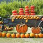 Pumpkin Garden Stake Metal Pumpkin Yard Sign Fall Decor 26InchH & 17InchH