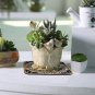 Colorful Boho Plant Pot Mat Set of 6 Absorbent Non Slip Plant Pot Pad for Table