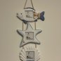 Nautical Fish Star Shell Photo Frame Wall Hanging Decoration Wood &Glass Frame