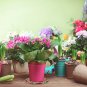 Plant Pot Mats Set of 6 Water Absorbent 8.5" Non-Slip Pot Pad Heat Resistant Mat