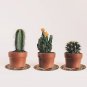 Plant Pot Mats Set of 6 Water Absorbent 8.5" Non-Slip Pot Pad Heat Resistant Mat