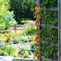 Wood Autumn Welcome Sign Fall Front Door Decor, Rustic Hanging Welcome Door Sign