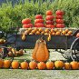 Pumpkin Garden Stake Metal Pumpkin Yard Sign Fall Decor Autumn Harvest 30 inch H