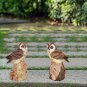 Resin Garden Statue 8.5" H Small Owl Bird withSound Owl Ornaments Decor Set of 2