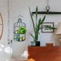 Metal Birdcage Hanging Shelf for Wall,Decorative Wall Display Shelves 2 Tiers