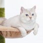 Cat Tree Flower Tower Condo Climbing for Indoor Cats Multi Level