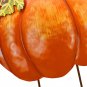Metal Pumpkin Garden Stake Outdoor Fall Autumn Harvest Thanksgiving Halloween De