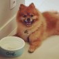 New pet feeder Blue Luxurious Dog Bowl Pet Products Food Bowl Tableware Cat Food